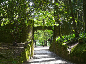 Park in Portugal